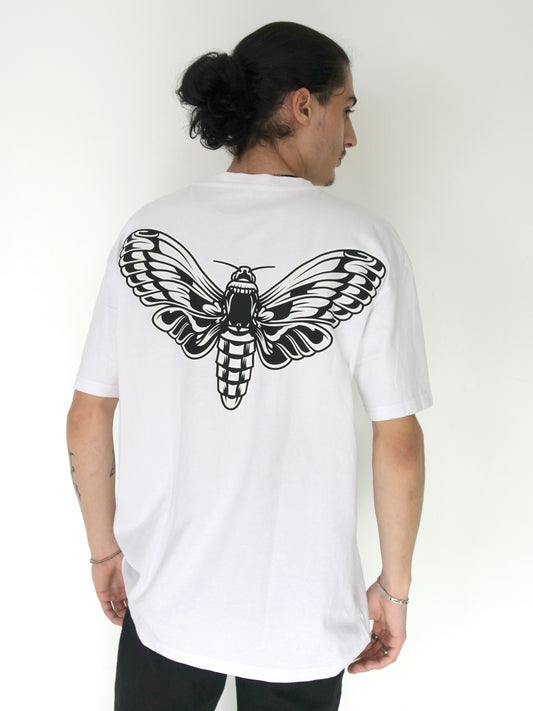 Papillon.