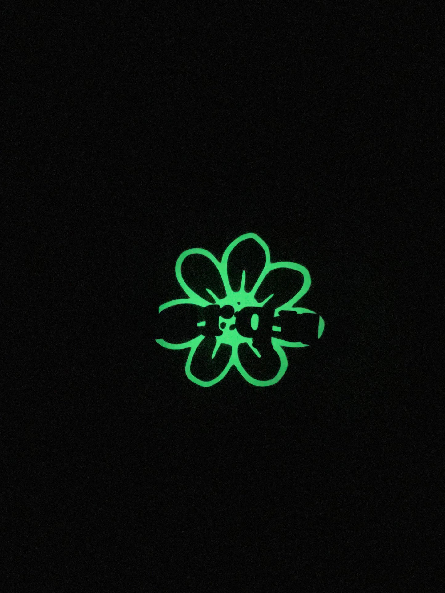 Fleurs de nuit.