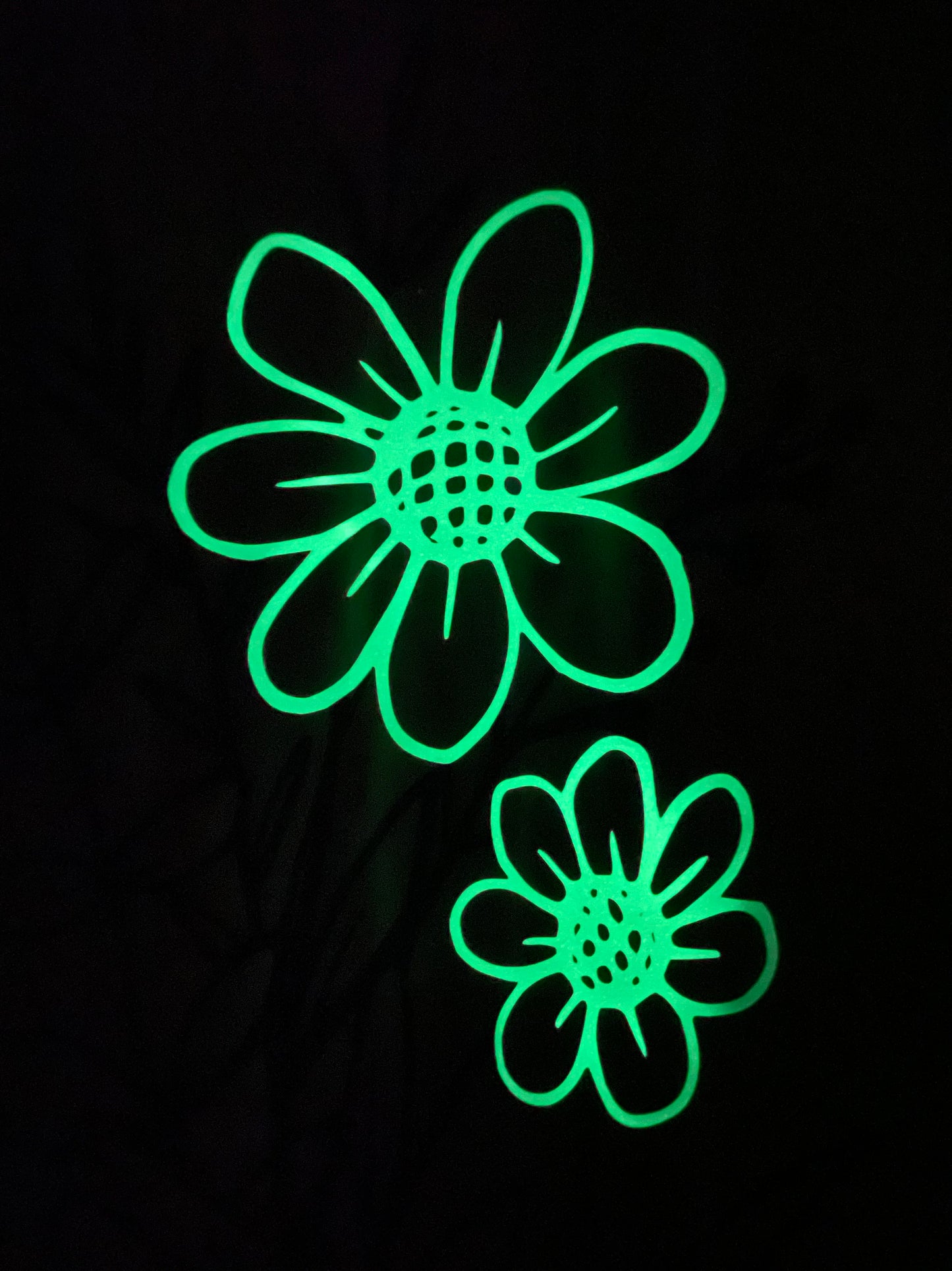 Fleurs de nuit.