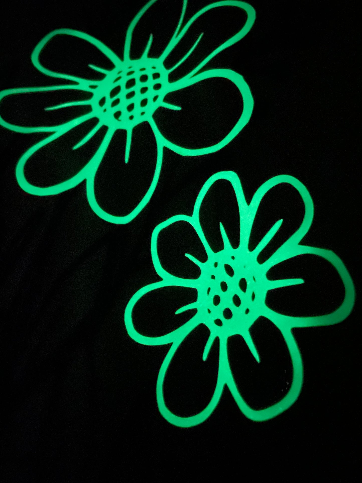 Fleurs de nuit.